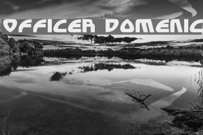 Officer Domenic Font examples