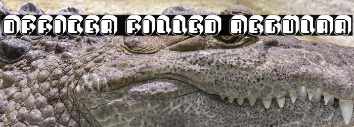 Officer Filled Regular Example 3