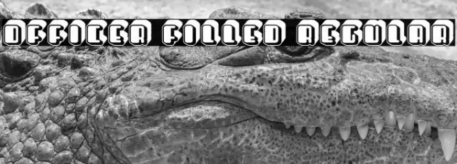 Officer Filled Regular Font examples