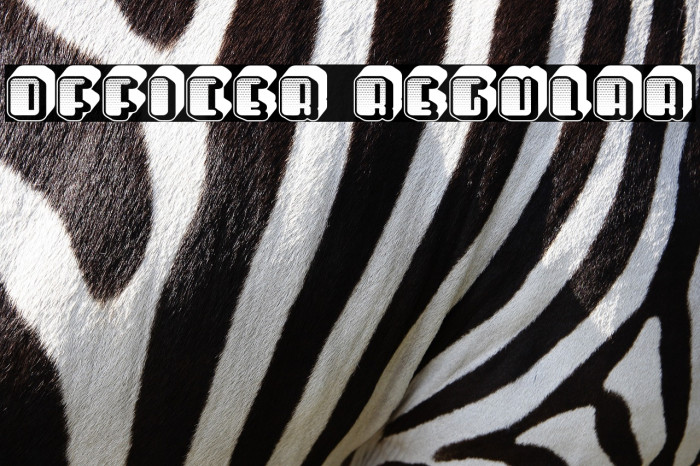 Officer Regular Example 2