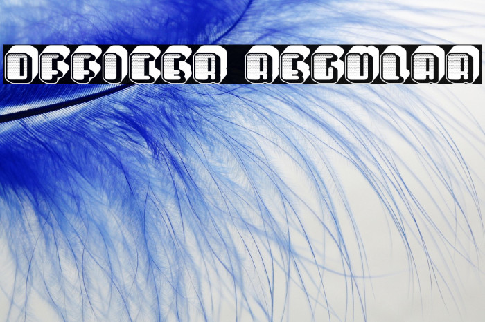 Officer Regular Example 3