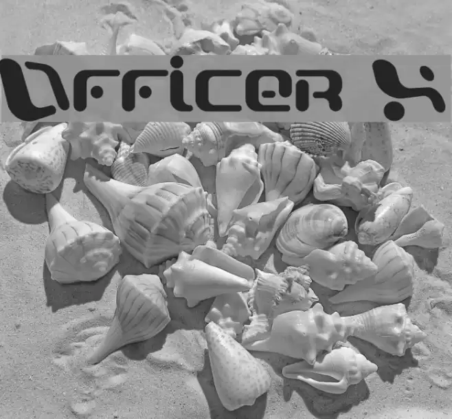 Officer X Font examples