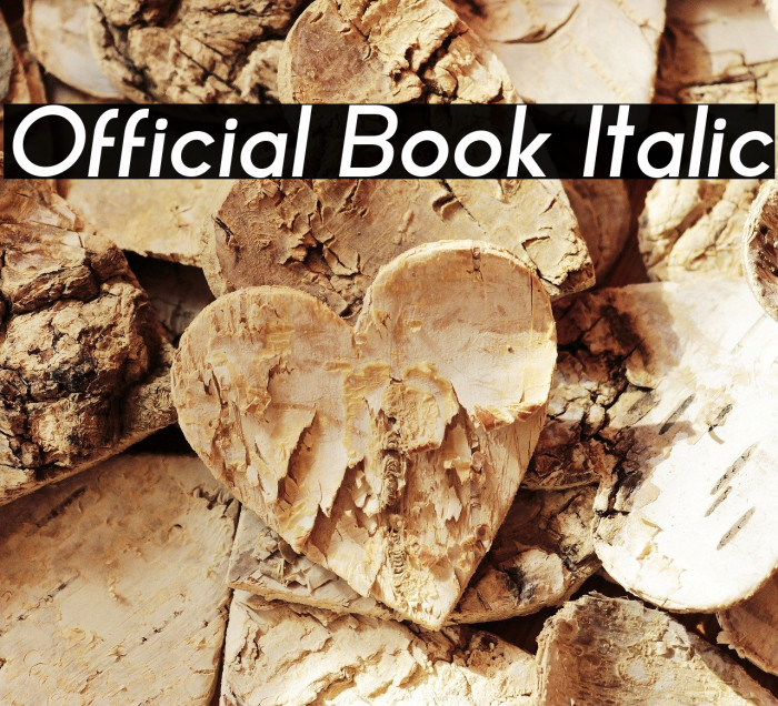 Official Book Italic Font examples