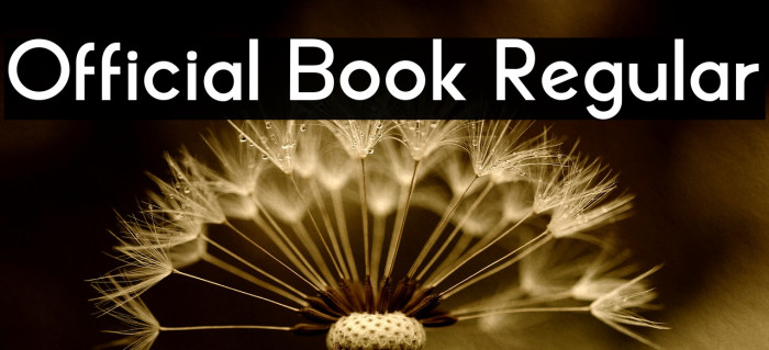 Official Book Regular Example 1