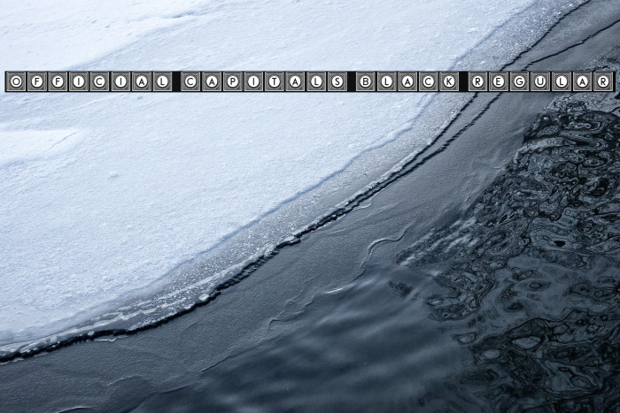 Official Capitals Black Regular Example 2