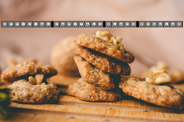 Official Capitals Black Regular Example 3