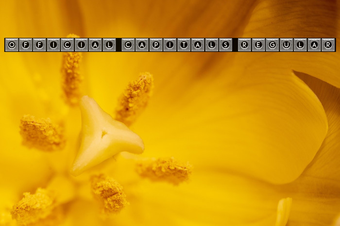 Official Capitals Regular Example 1