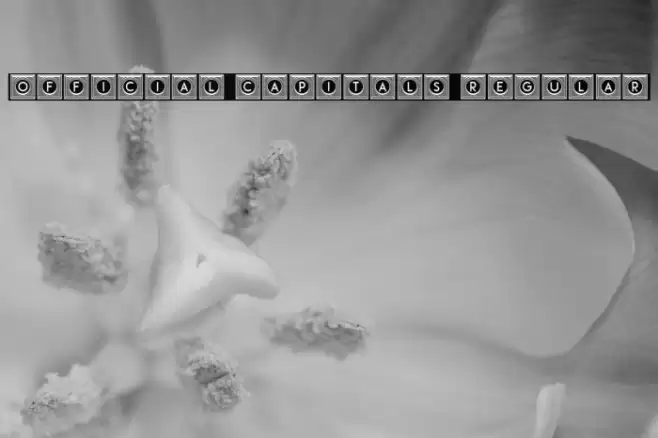 Official Capitals Regular Font examples