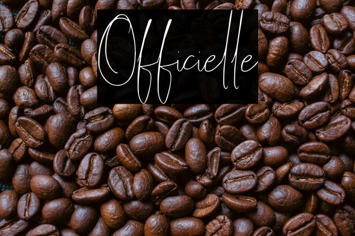 Officielle Example 2