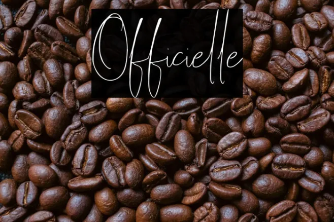 Officielle Example 2