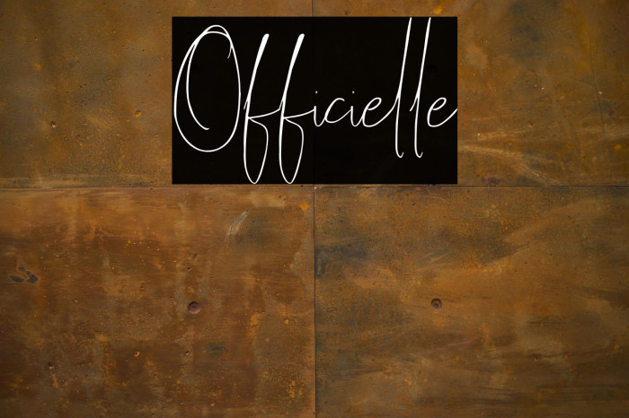 Officielle Example 3