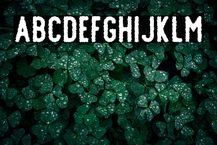 Offlander-Rough Example 1