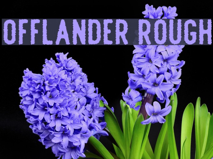 Offlander Rough Font examples