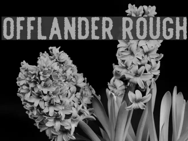 Offlander Rough Font examples