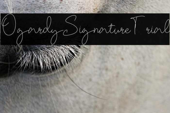 OgardySignature-Trial Example 1