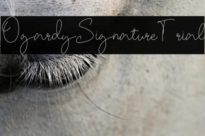 OgardySignature-Trial Example 1