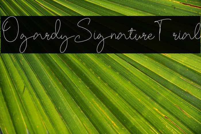 OgardySignature-Trial Example 2