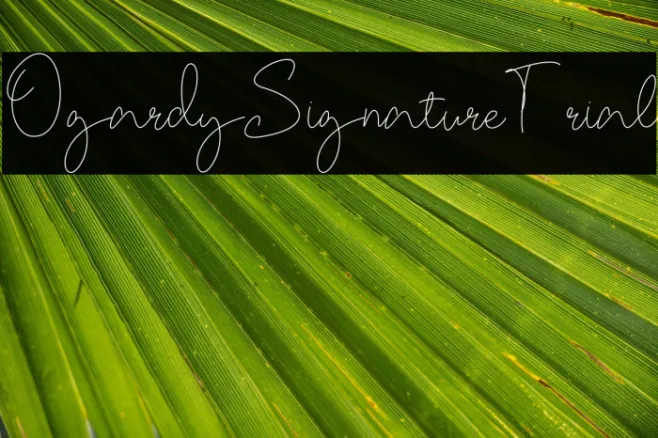 OgardySignature-Trial Example 2