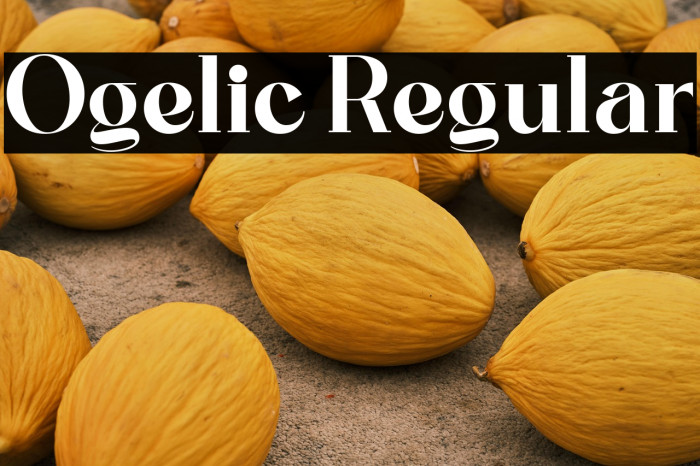 Ogelic Regular Example 1