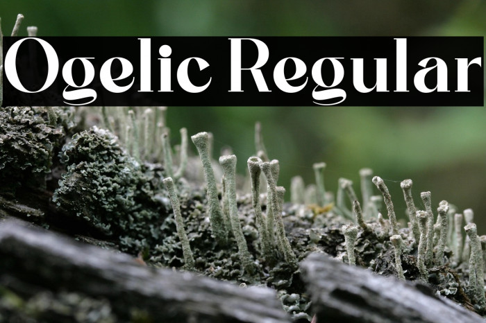 Ogelic Regular Example 3