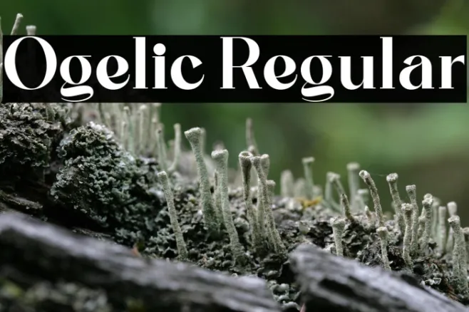 Ogelic Regular Example 3