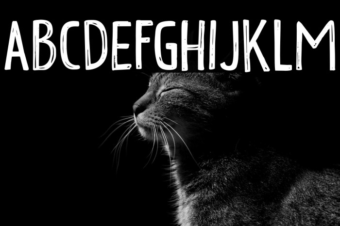 Ogenblik DEMO Regular Example 3