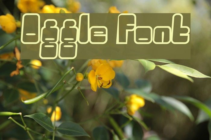 Oggle फ़ॉन्ट examples