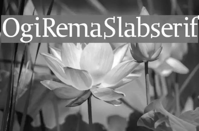 OgiRemaSlabserif Font examples