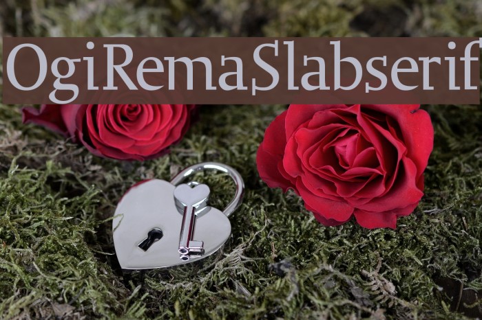 ogiremaslabserif 字体