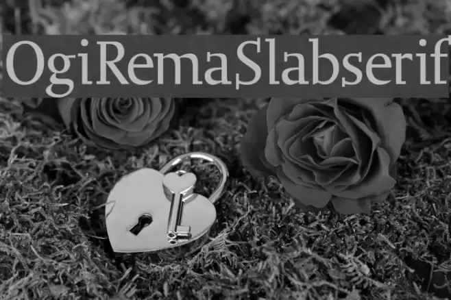 OgiRemaSlabserif Font examples