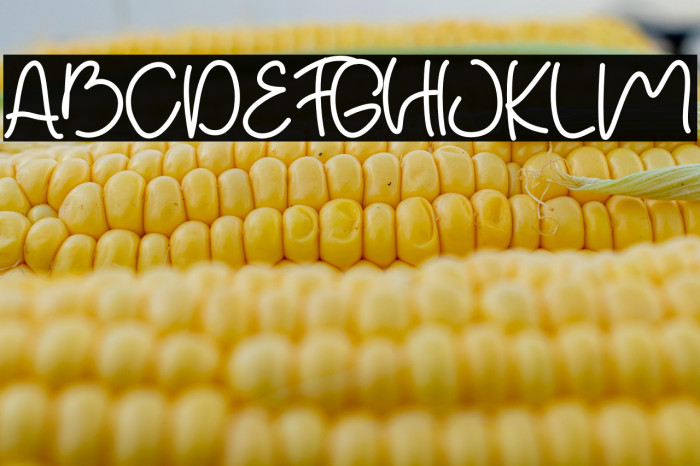 Ogicha DEMO Example 3