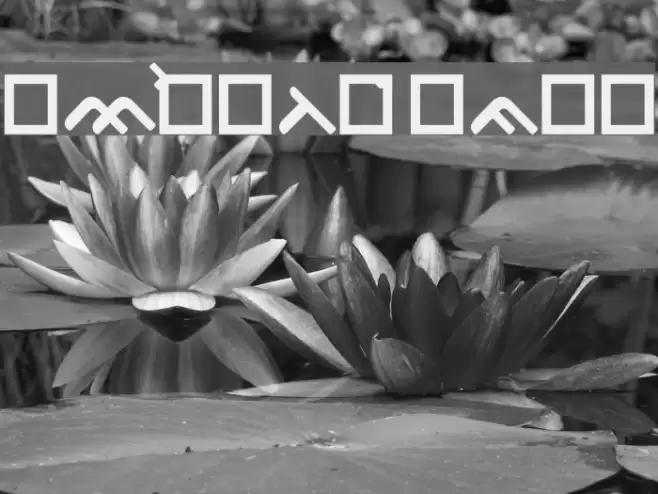 OgieCappoCampotype Font examples