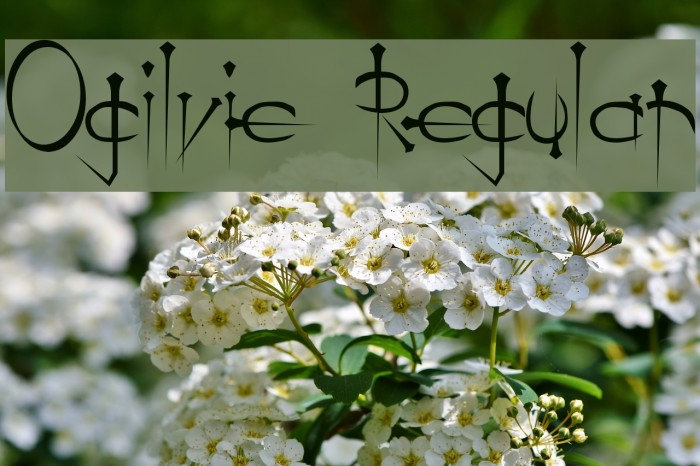 Ogilvie Regular フォント examples