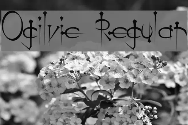 Ogilvie Regular Font examples