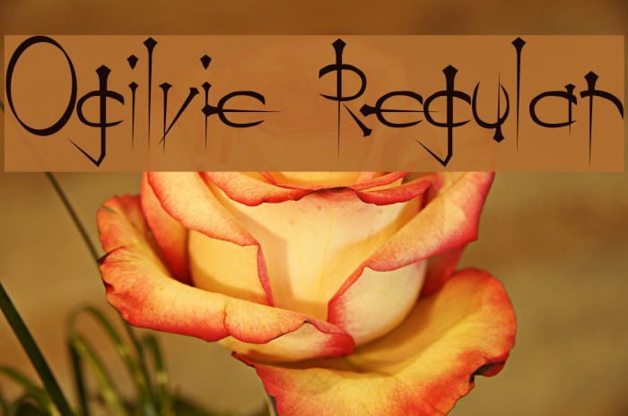 Ogilvie Regular フォント examples