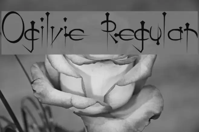 Ogilvie Regular Font examples