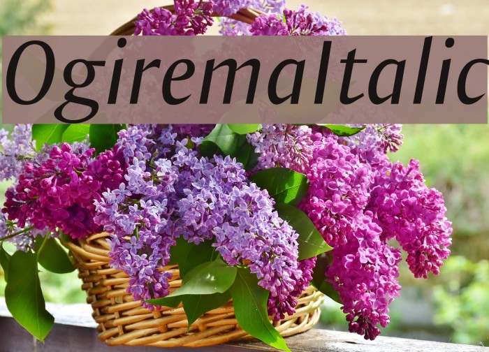 OgiremaItalic Font examples