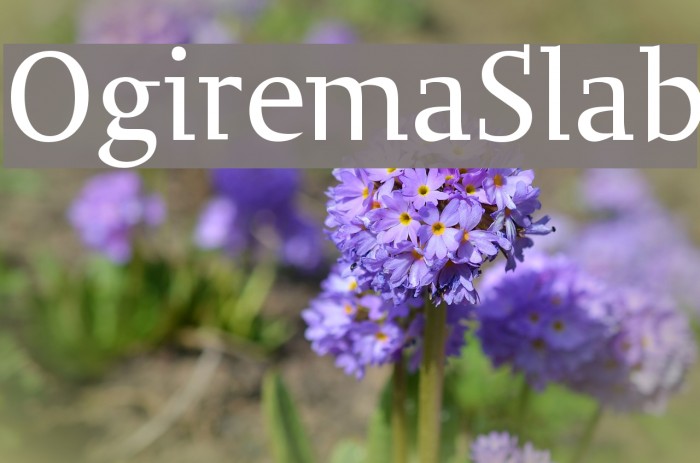 OgiremaSlab Example 1