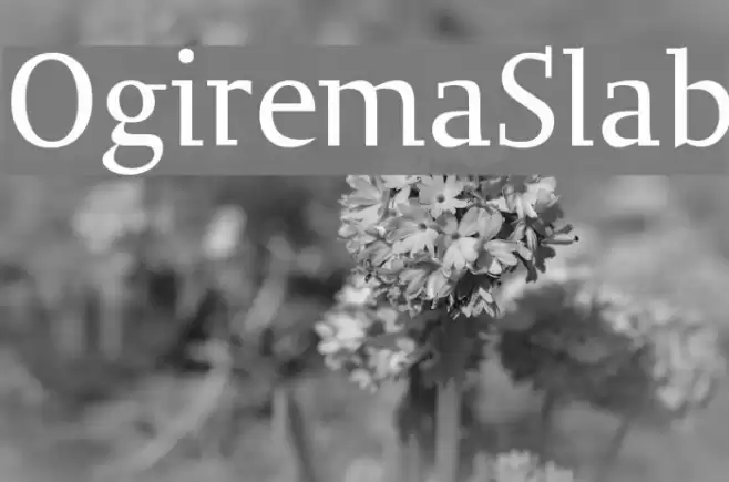 OgiremaSlab Font examples