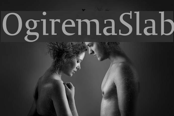 OgiremaSlab Example 2