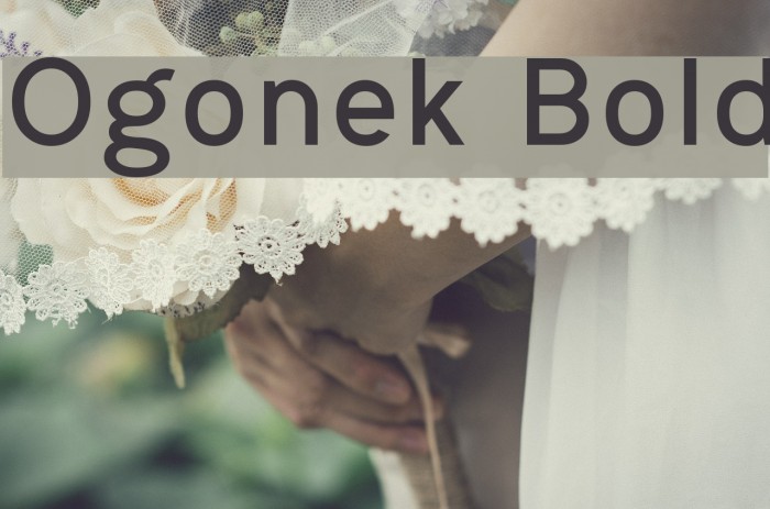 Ogonek Bold Font examples