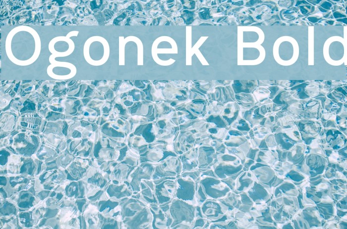 Ogonek Bold Font examples