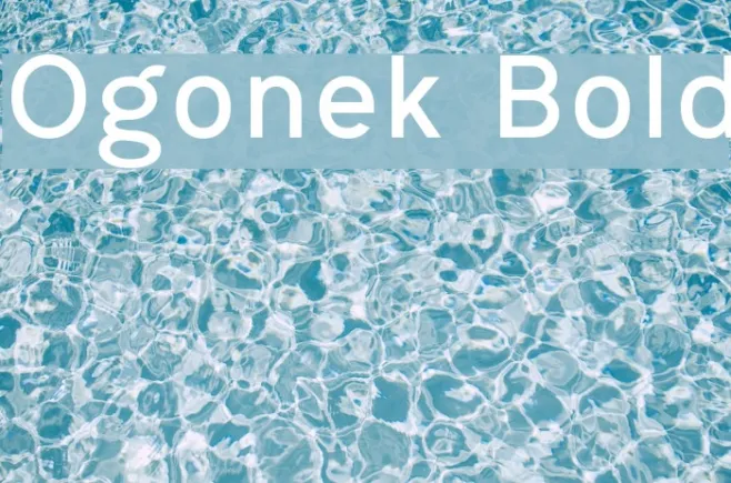 Ogonek Bold Example 2