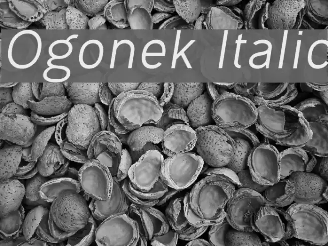 Ogonek Italic Font examples