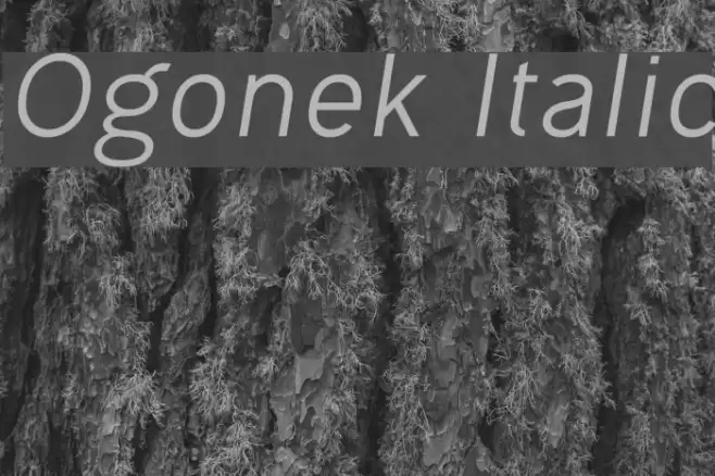 Ogonek Italic Font examples