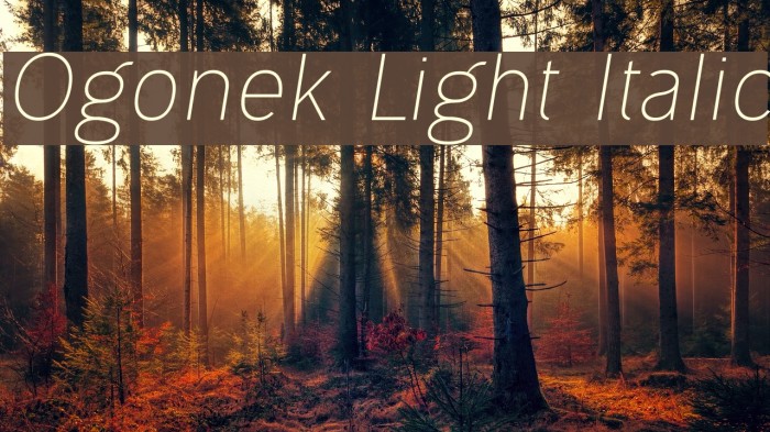 Ogonek Light Italic Font examples