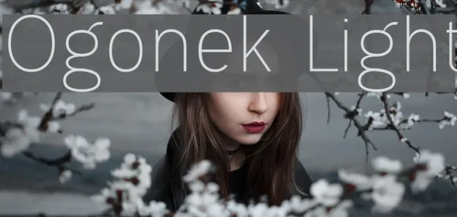 Ogonek Light Example 1