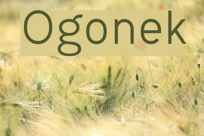 Ogonek Font examples