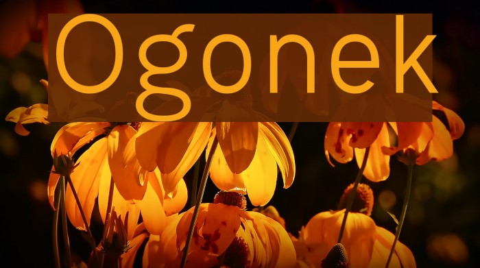 Ogonek Font examples