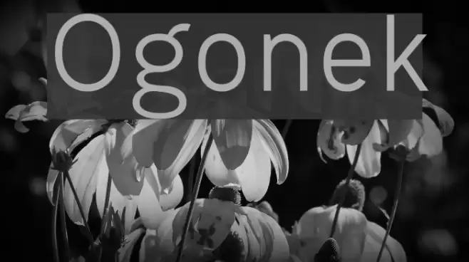 Ogonek Font examples